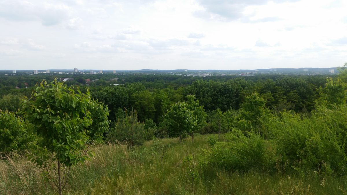 Blick nach Potsdam - Tannenberge Berlin