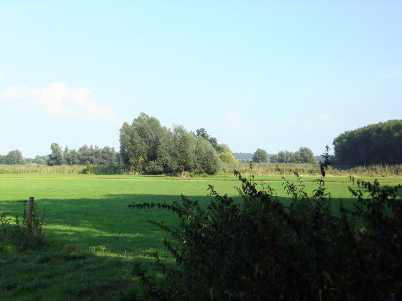 Blick übers Golmer Luch