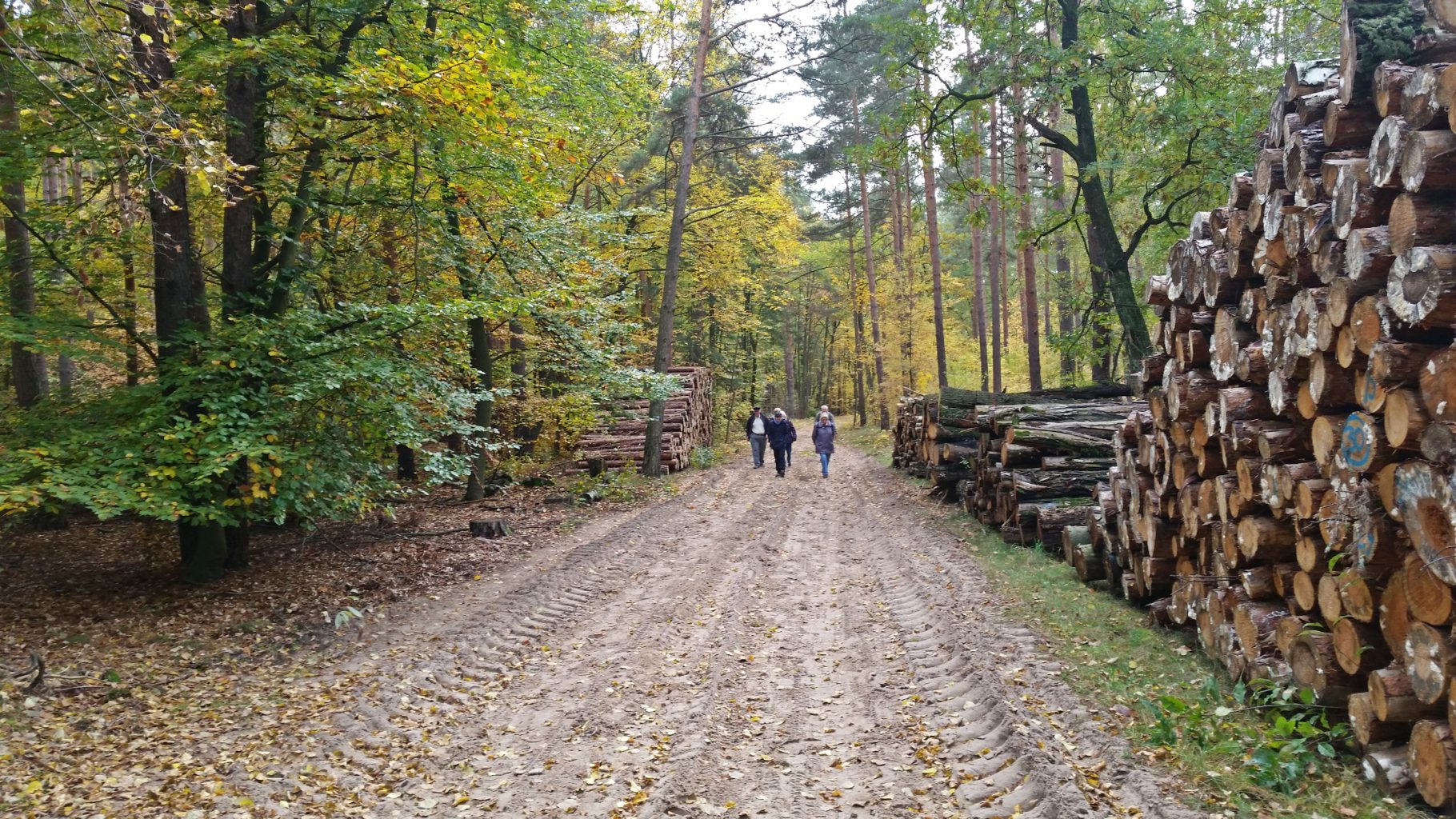 herbstliche Ravensberge