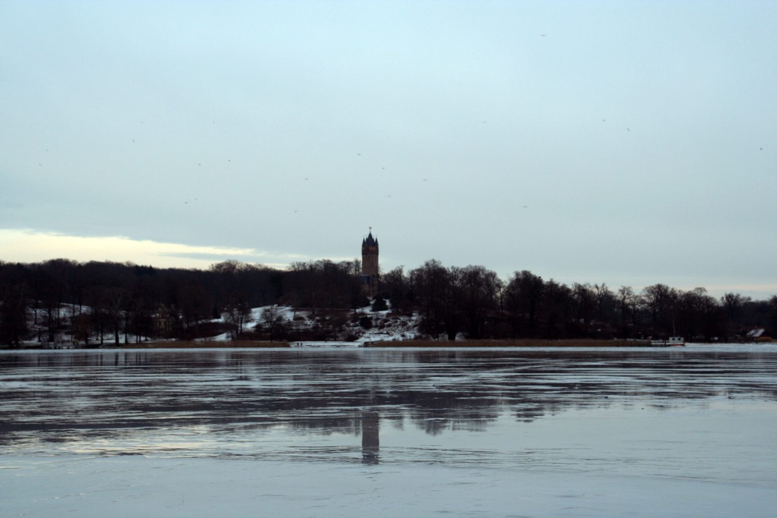 Blick auf Park Babelsberg im Winter