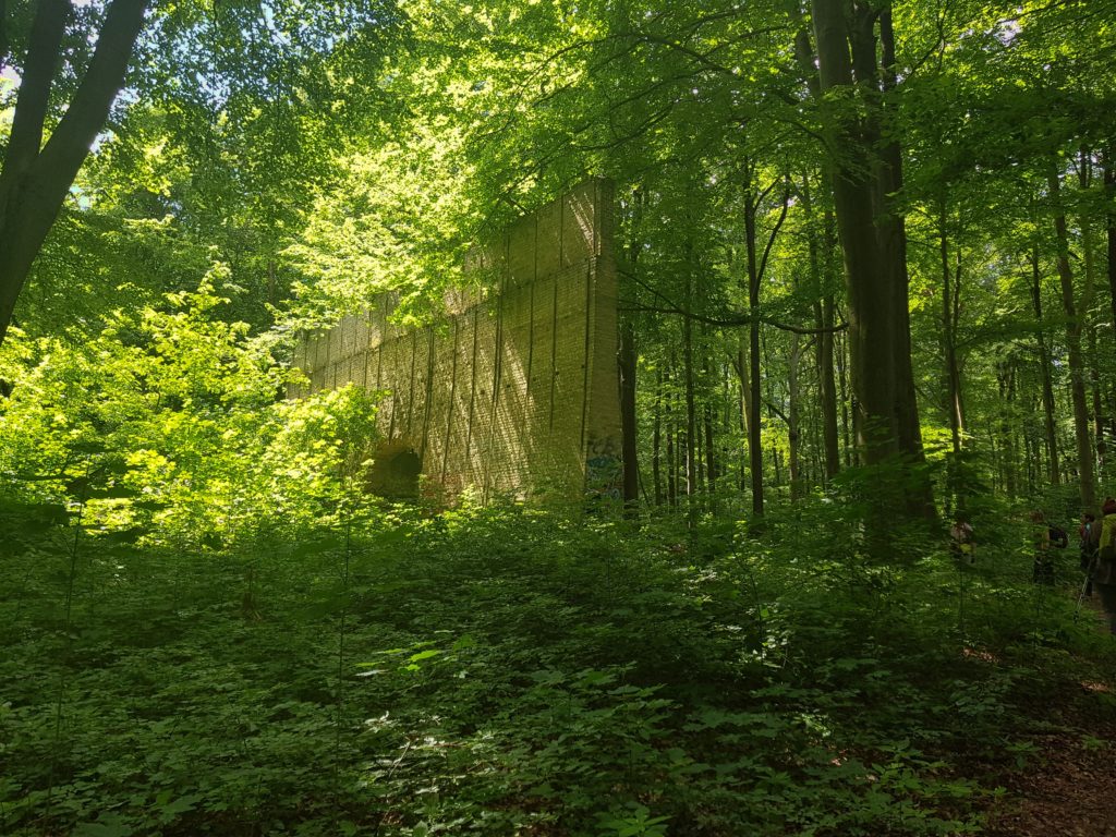 Düstere Teiche Archive Wandern in Berlin und Potsdam